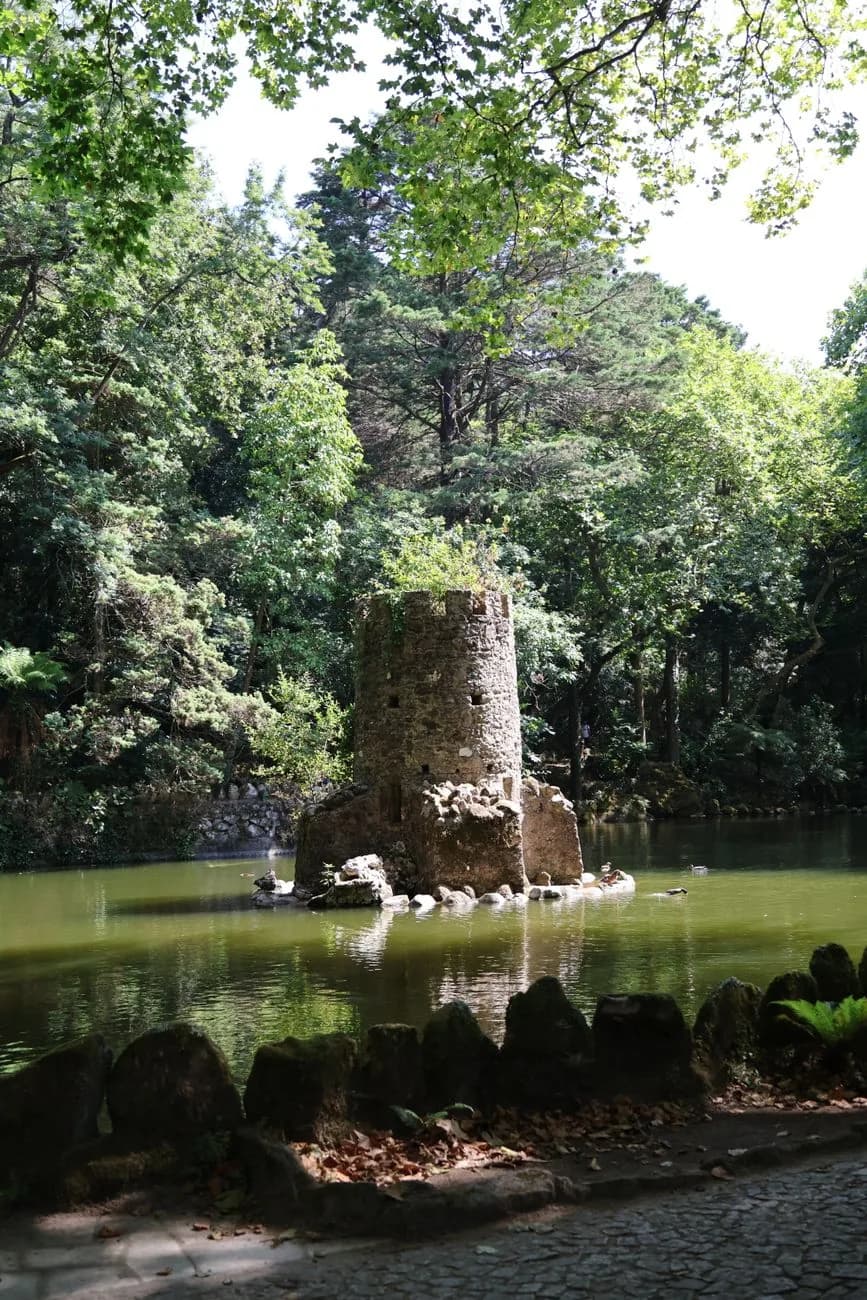 Bassin et pierres de gué au pied d'une tour en ruine, dans un jardin boisé