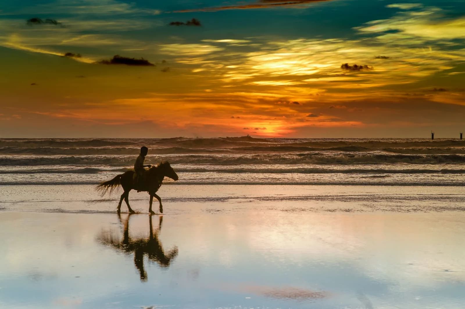 Cavalier sur une plage au coucher du soleil