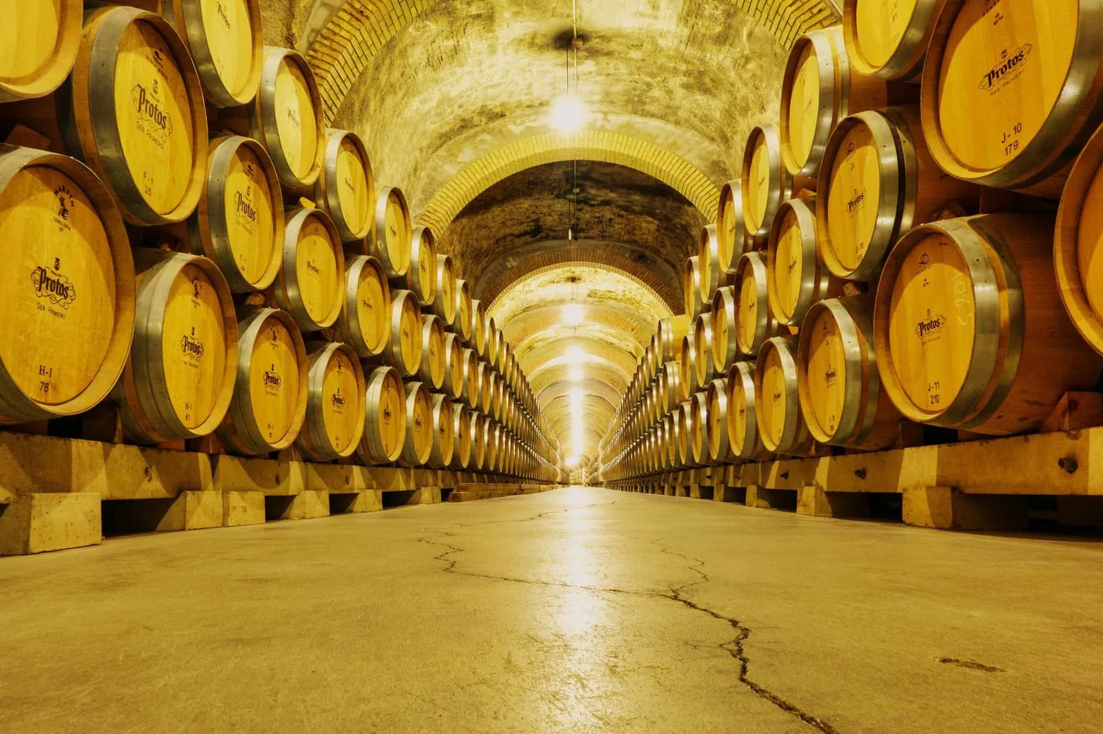 Cave voûtée bordée de tonneaux de vin