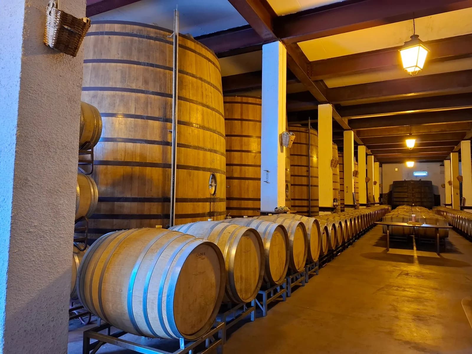 Chai aux grands foudres et barriques de vin alignés