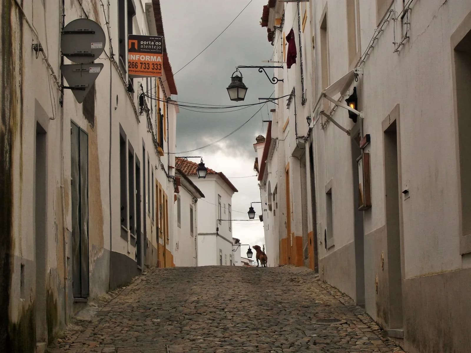Ruelle pavée bordée de maisons blanches à Évora