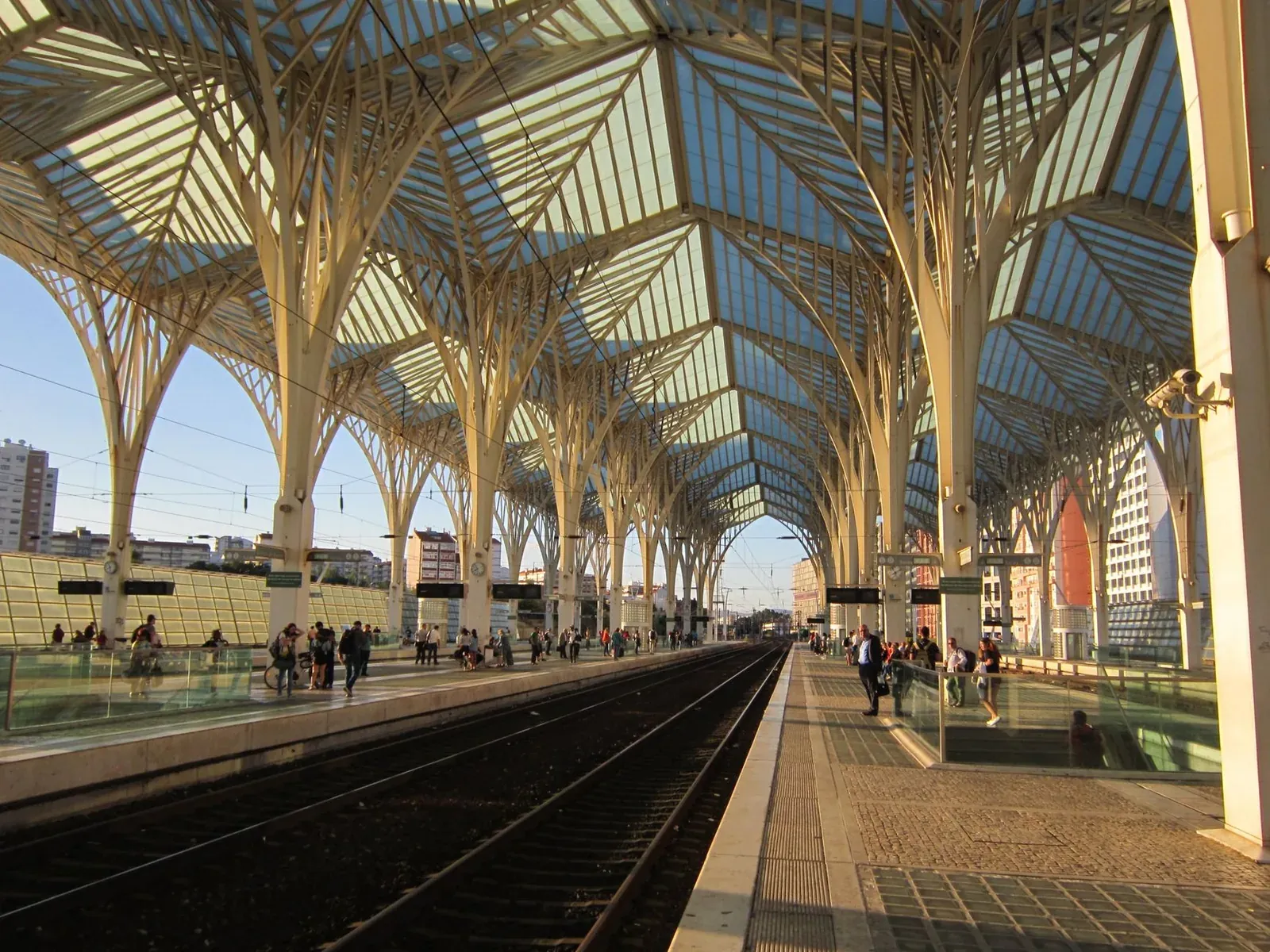 Gare do Oriente à Lisbonne, sa nef en verre et acier en forme de palmiers signée Santiago Calatrava