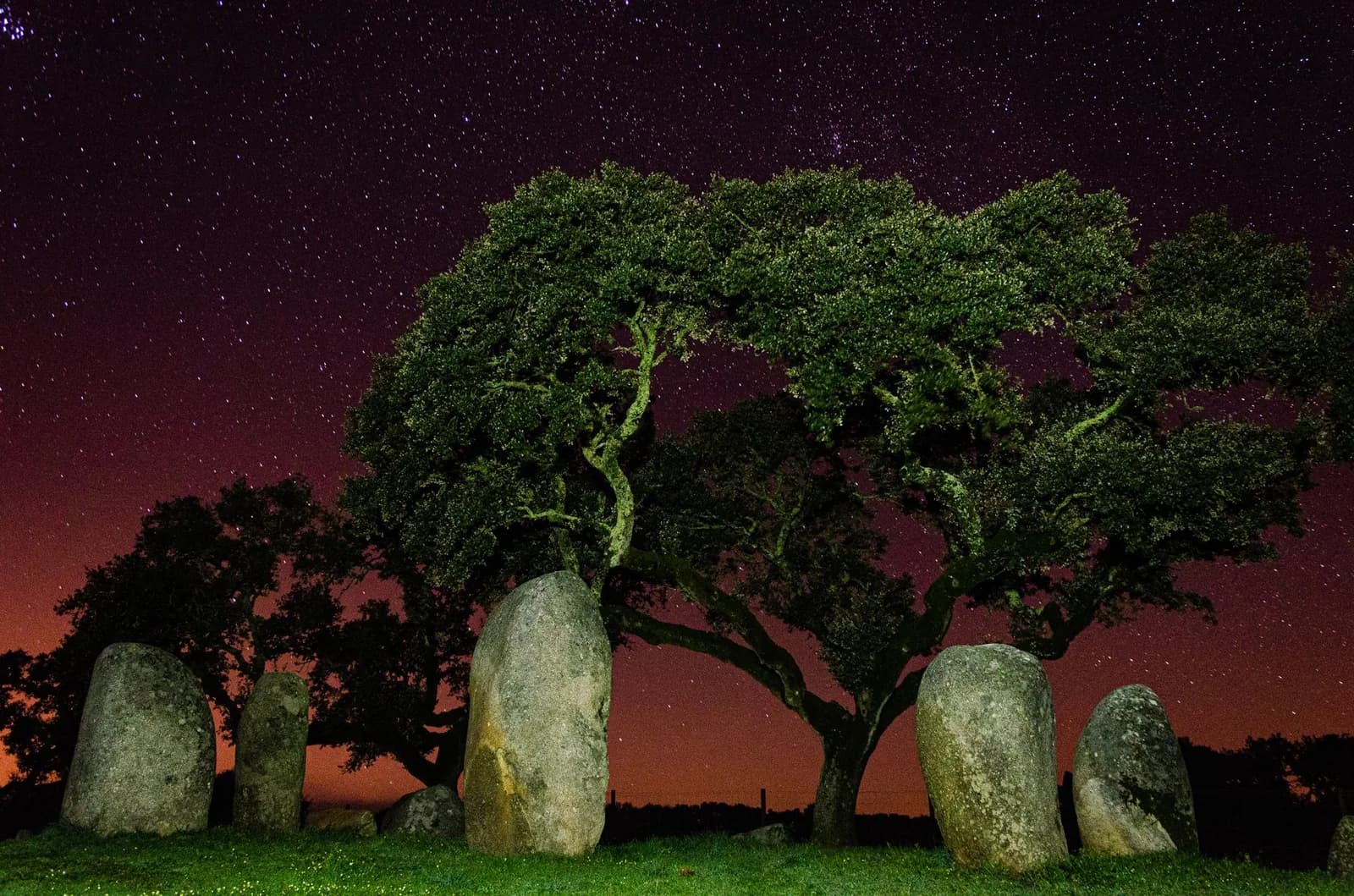Menhirs de granit sous un chêne-liège, de nuit, dans la campagne de l'Alentejo