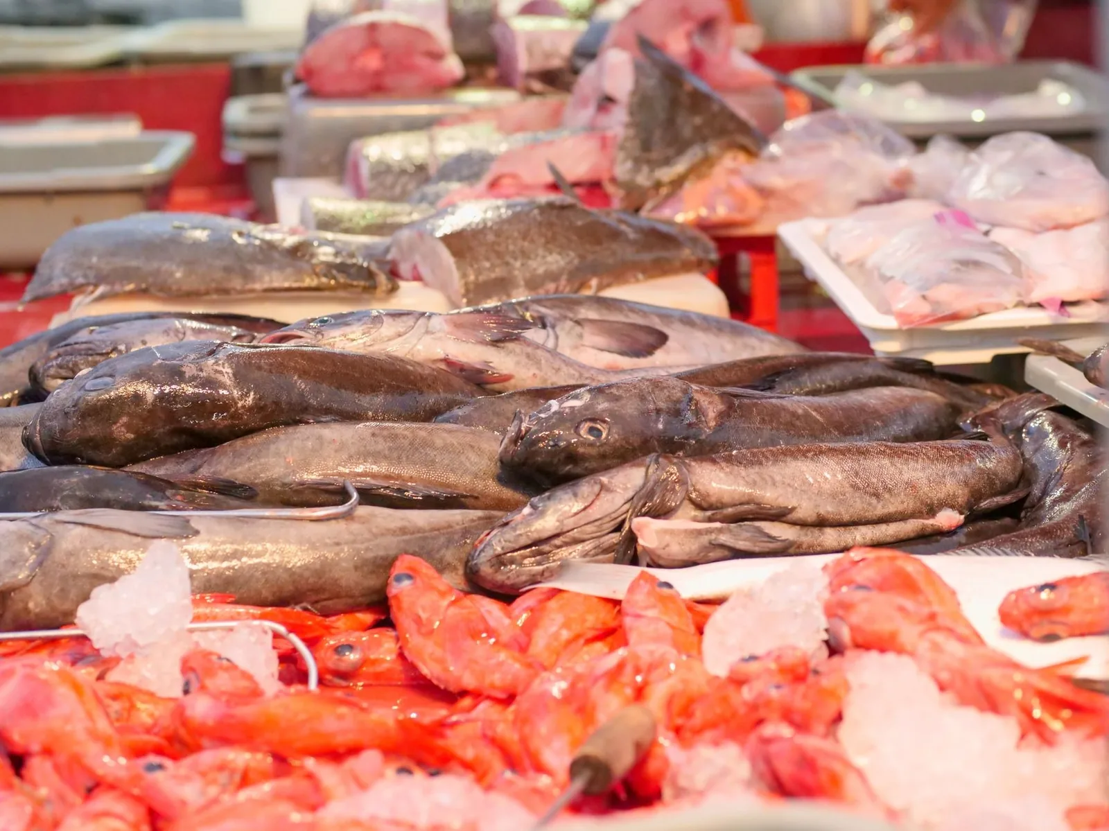 Étal de poissons frais et de crevettes sur glace dans un marché portugais
