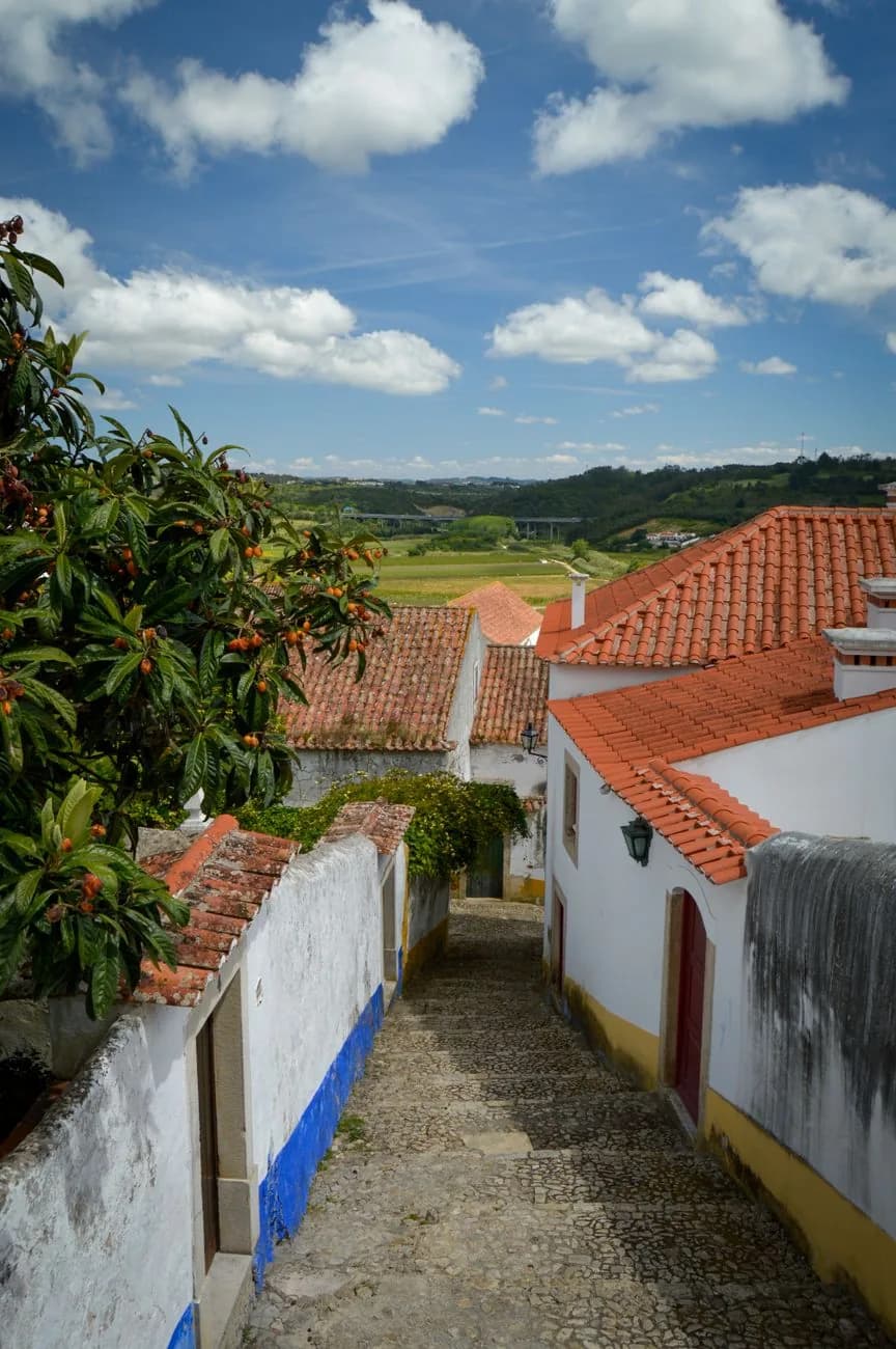 Ruelle en escalier entre des maisons blanches à liserés bleus et jaunes, campagne verte au loin