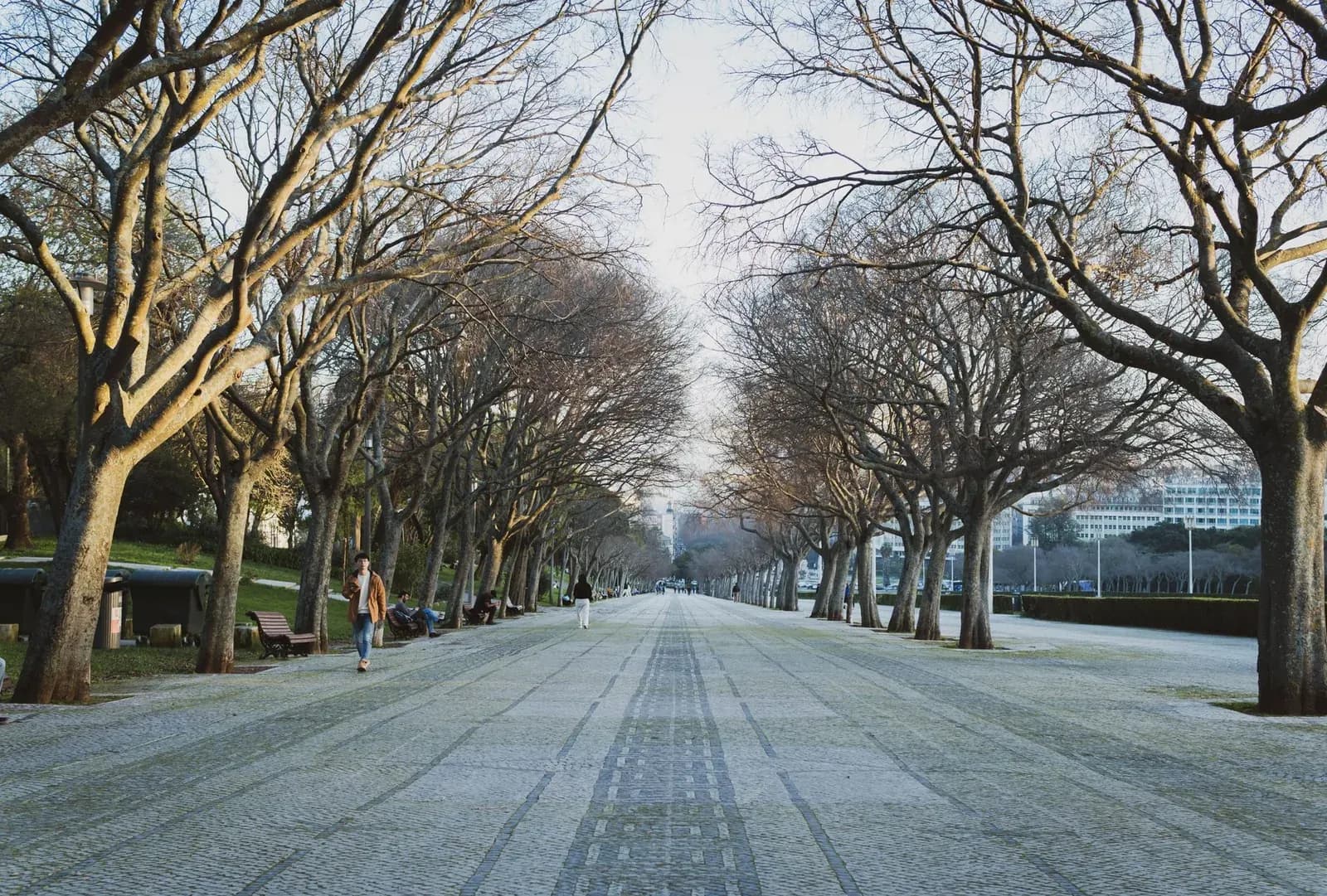 L'allée arborée du Parc Eduardo VII à Lisbonne, avec ses bancs et sa calçada mosaïquée
