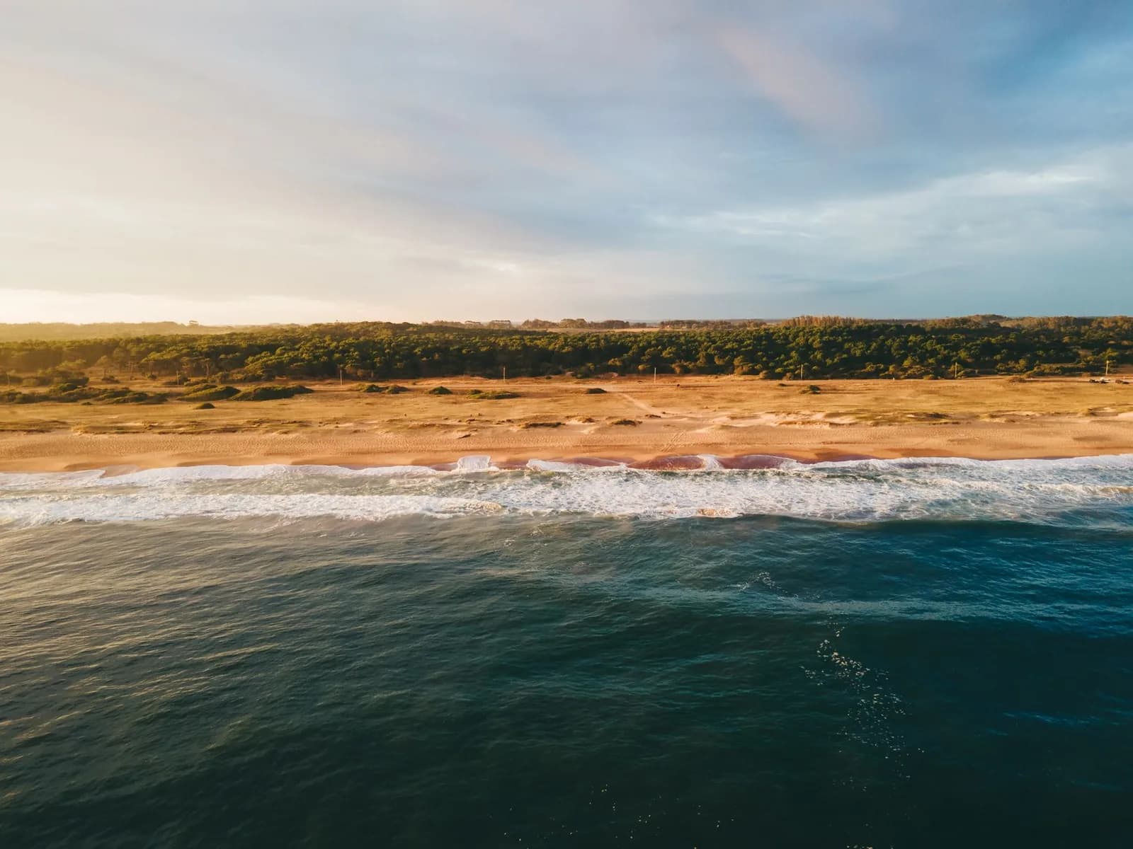 Plage sauvage bordée de dunes et d'une ligne de pins, vue depuis la mer