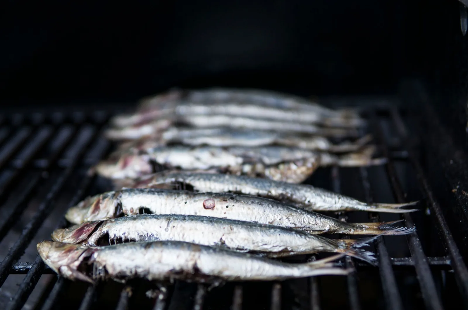 Sardines grillées au charbon, alignées sur une grille de barbecue